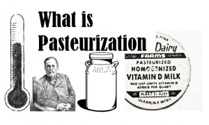 pasteurization milk century