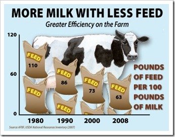Average milk produced by a cow per day