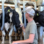 Common Activist “Questions” About Dairy Answered